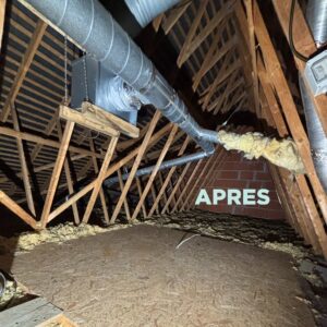 589766444_122145355706933426_7420238935575915559_n